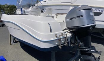 QUICKSILVER – 525 open flamingo complet