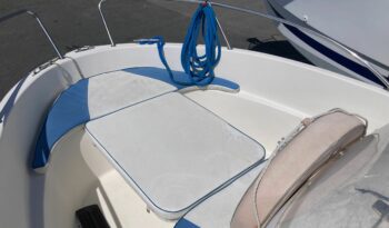 QUICKSILVER – 525 open flamingo complet
