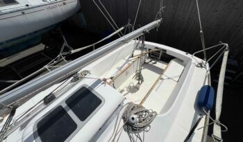 BENETEAU – First 210 complet