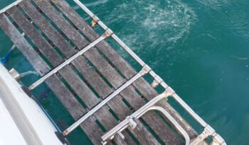 GIB SEA – GIB 66 complet