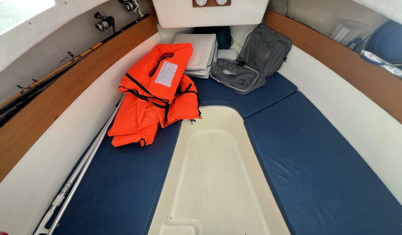 JEANNEAU – MERRY FISHER 530 complet