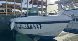 MARINO – ARTEMIDE 500