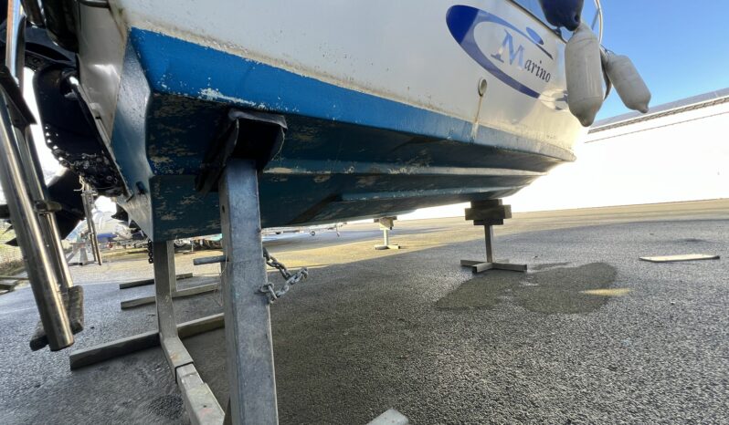 MARINO – ARTEMIDE 500 complet