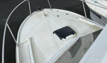 EIDER MARINE – SEA ROVER 590 complet