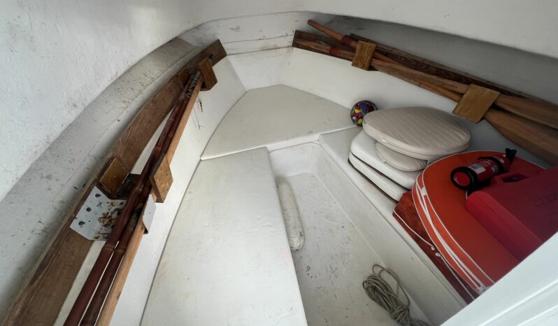 SESSA MARINE – OCEAN 550 TIMONIER complet