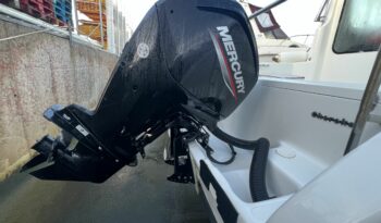 SESSA MARINE – RAPALA 19 complet