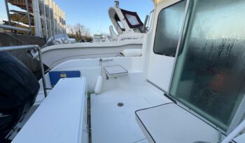 SESSA MARINE – RAPALA 19 complet