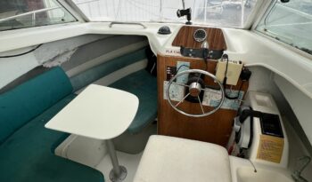 SESSA MARINE – RAPALA 19 complet