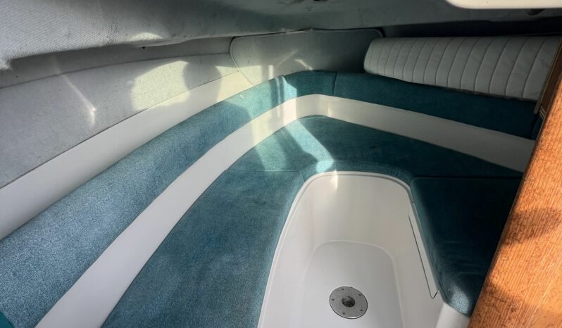 SESSA MARINE – RAPALA 19 complet