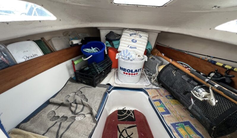 JEANNEAU – MERRY FISHER 530 CABIN complet